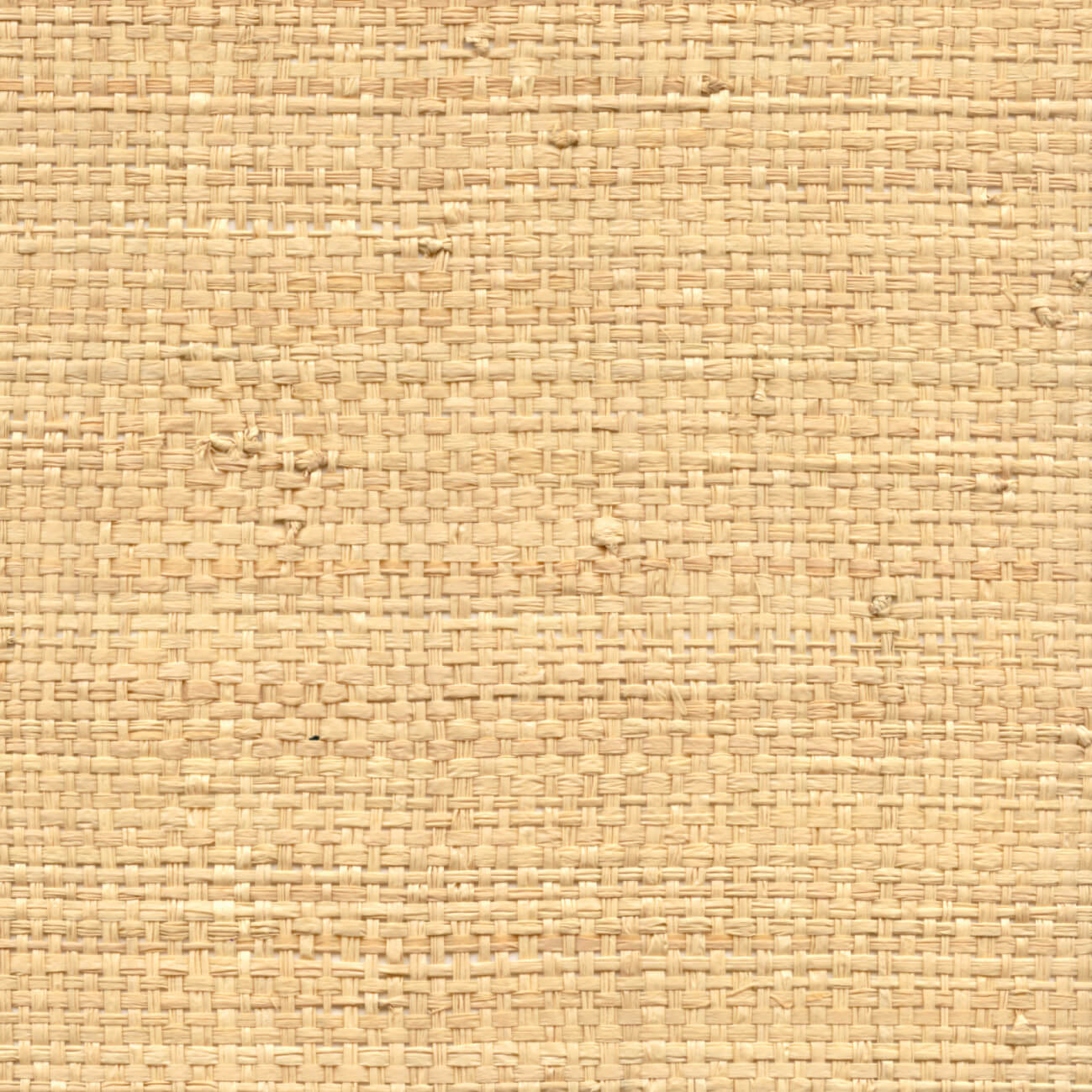 CMO Paris Raphia Sauvage Behang CMO WRA 04 - miel