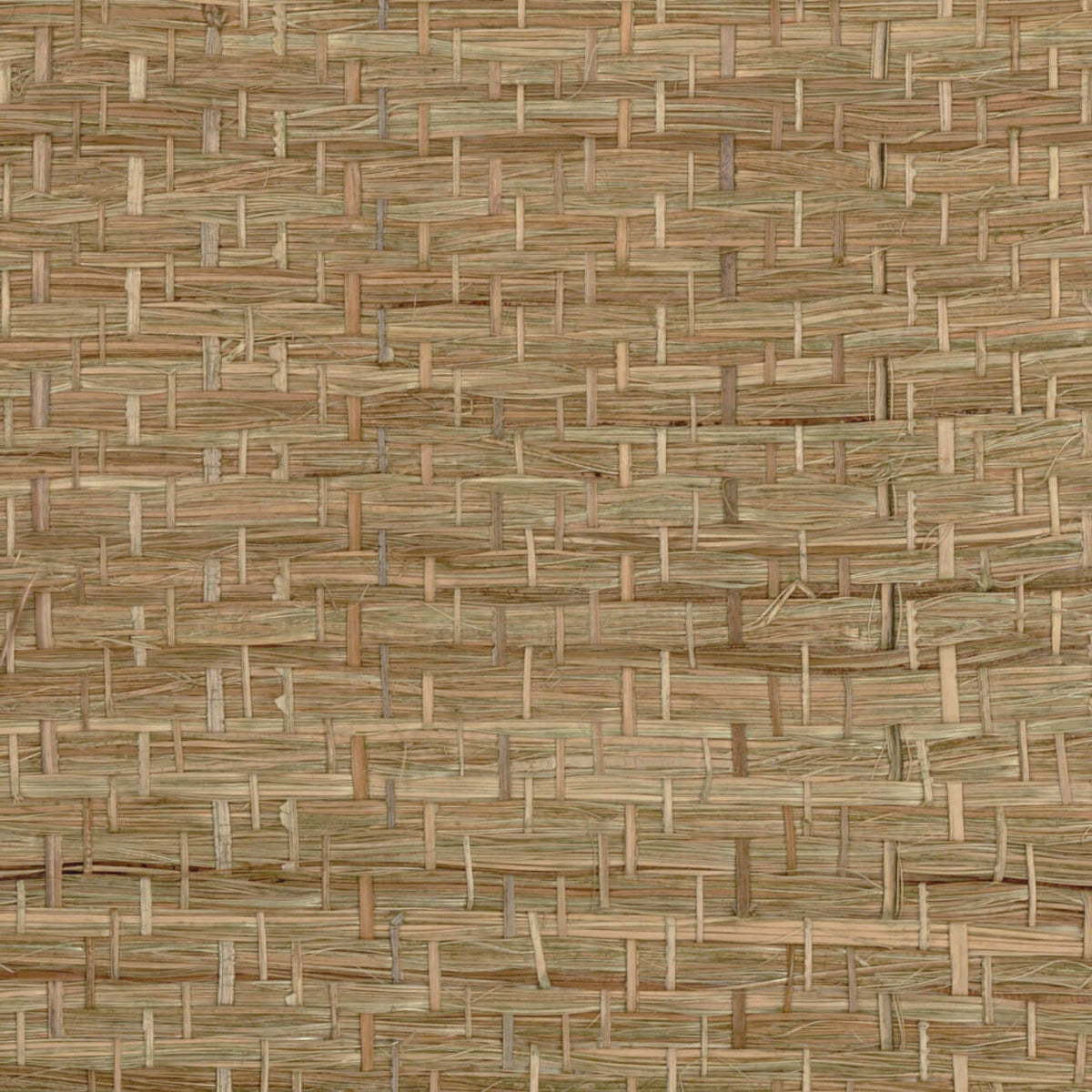 CMO Paris Abaca Herbacé Behang CMO WAB 11 - olive