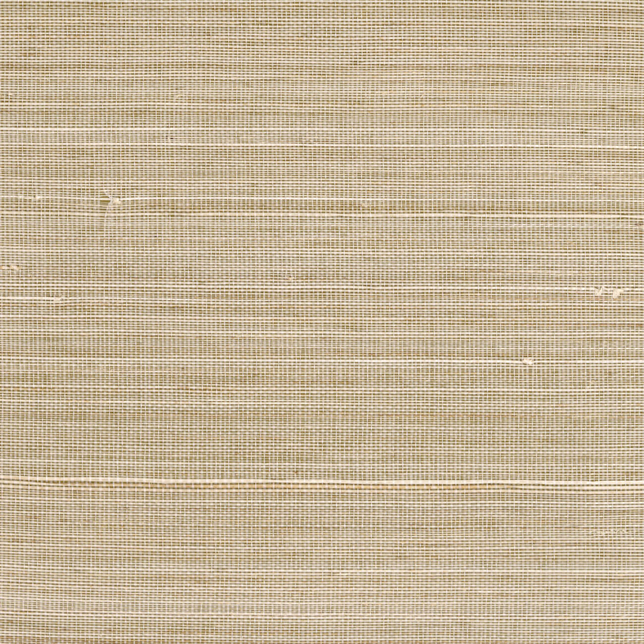 CMO Paris Abaca Dense Behang CMO WAB 05 - Sable