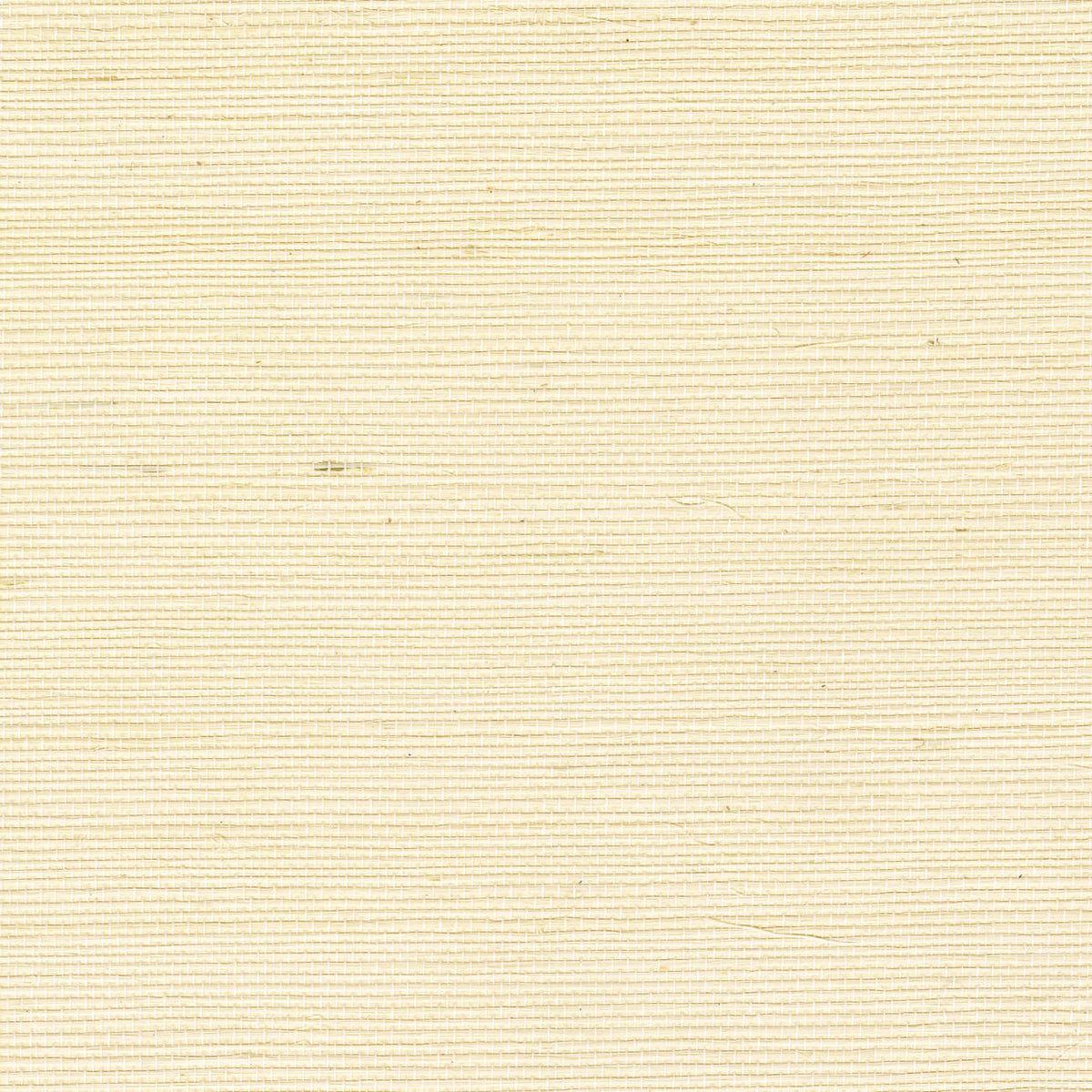 CMO Paris Sisal Behang CMO WSI 01 - Ivoire