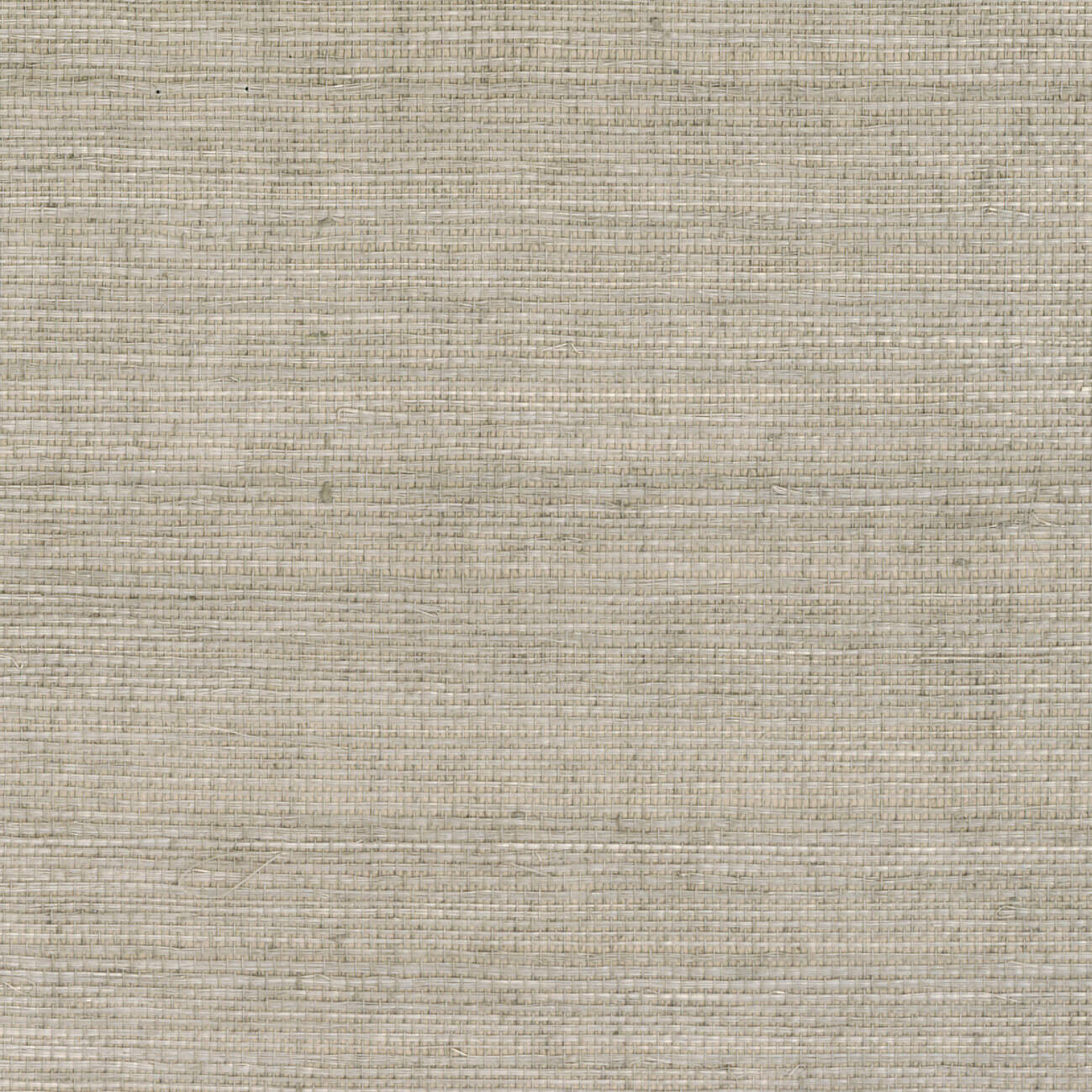 CMO Paris Sisal Behang CMO WSI 01 - Beige