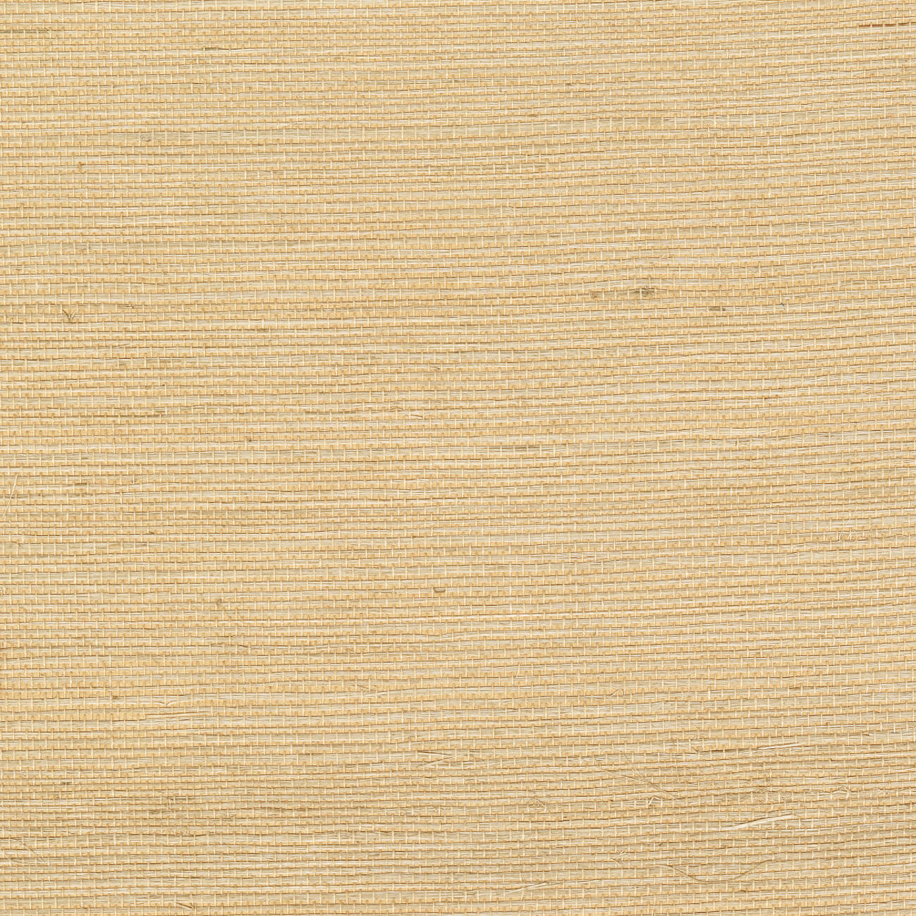 CMO Paris Sisal Behang CMO WSI 01 - Blond