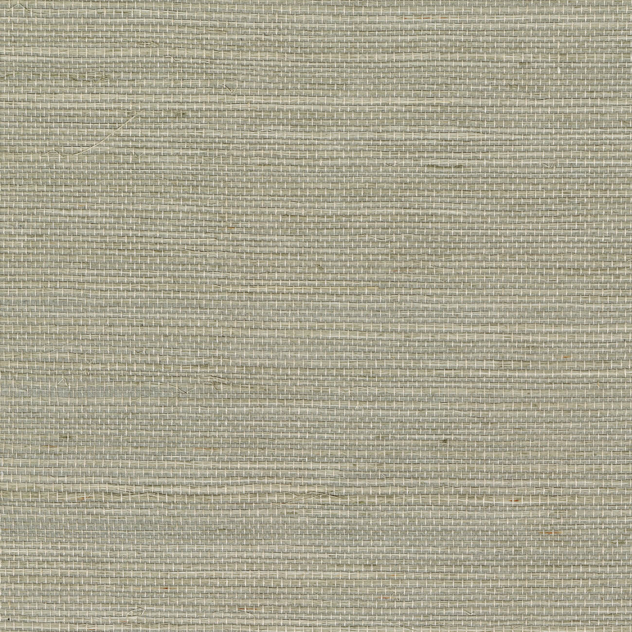 CMO Paris Sisal Behang CMO WSI 01 - Argent