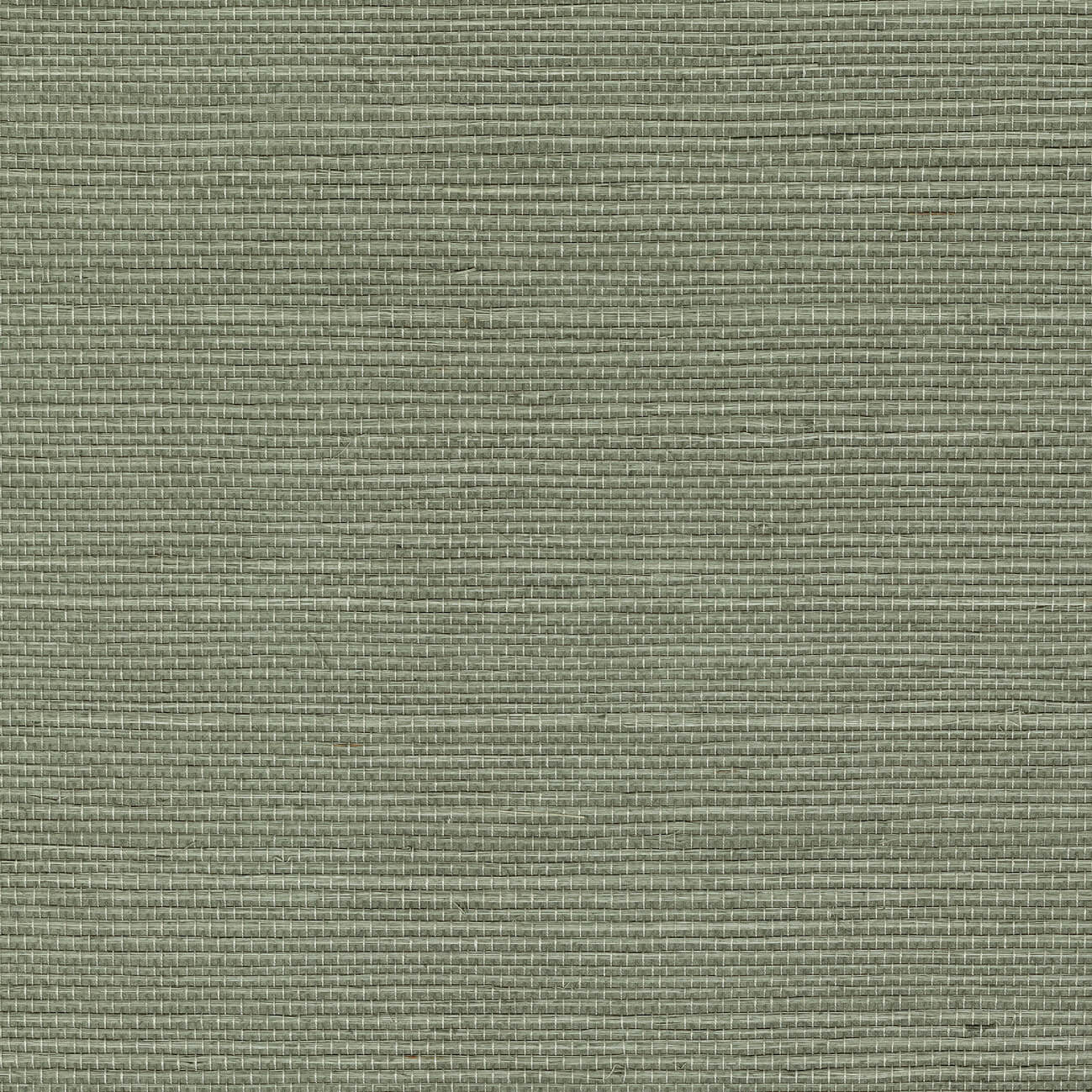 CMO Paris Sisal Behang CMO WSI 01 - Acier