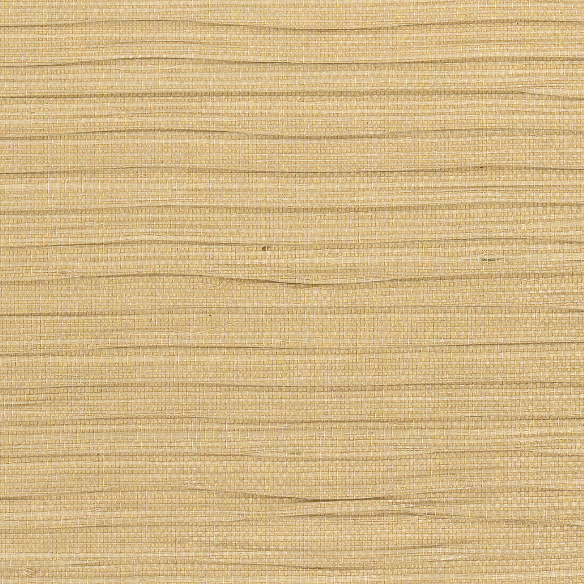 CMO Paris Sisal Plissé Behang CMO WSI 07 - Blond