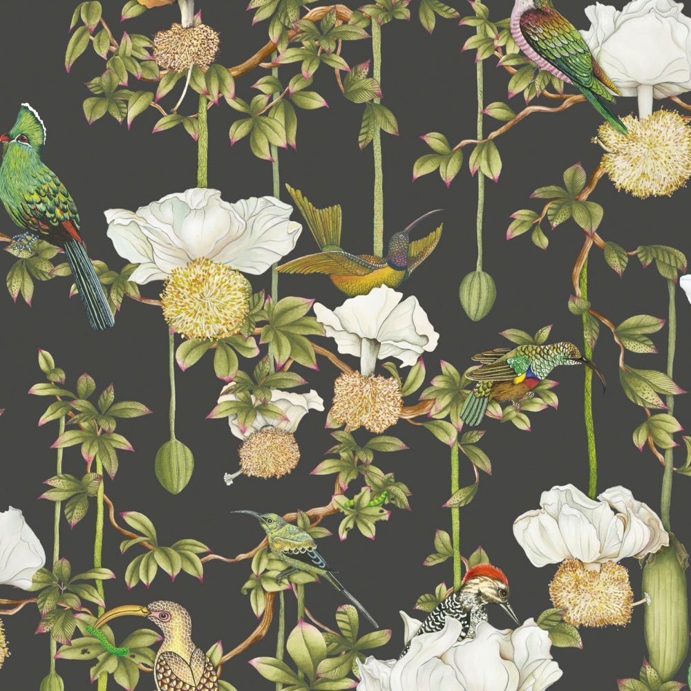 Cole & Son ARDMORE - BAOBAB Baobab Botanica behang 129/2009 - LAB COLOUR THE WORLD