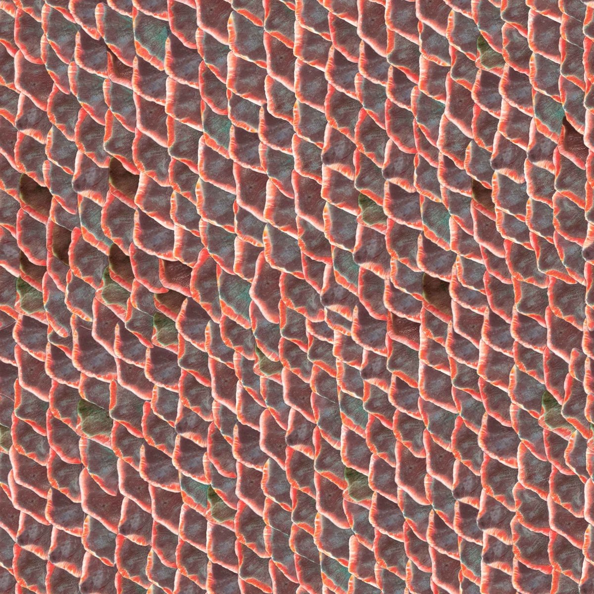 Coordonné Essentia 150/50 Fish skin behang 5800031 - LAB COLOUR THE WORLD