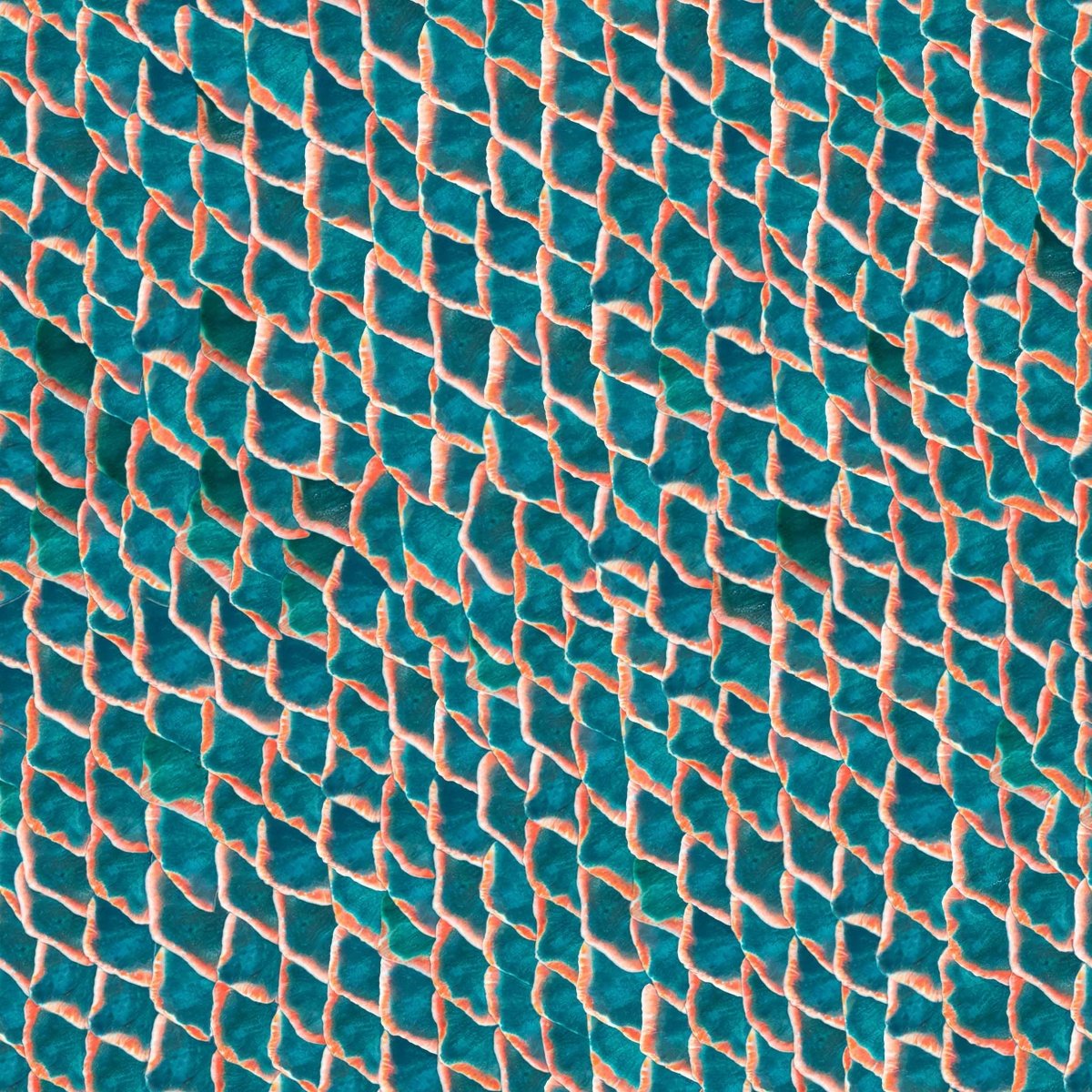 Coordonné Essentia 150/50 Fish skin behang 5800033 - LAB COLOUR THE WORLD