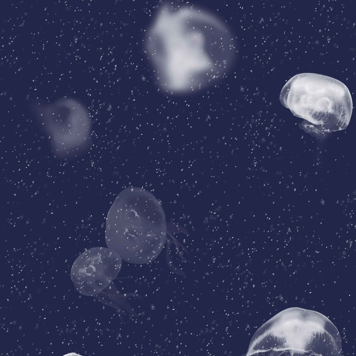 Coordonné Essentia 150/50 Jellyfish behang 5800011 - LAB COLOUR THE WORLD