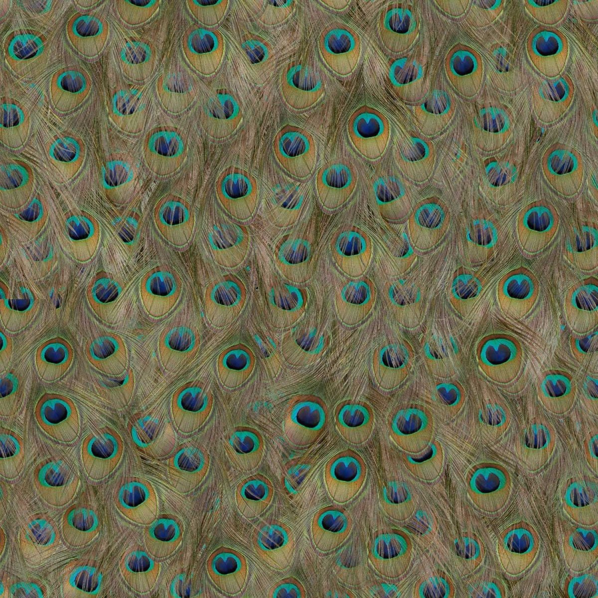 Coordonné Essentia 150/50 Peafowl behang 5800051 - LAB COLOUR THE WORLD