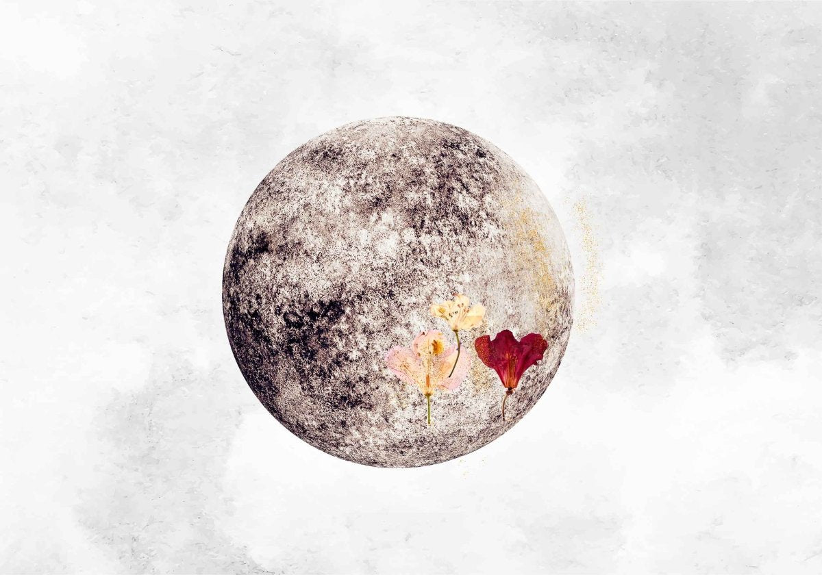Coordonné Instant Full Moon behang 8500150 - LAB COLOUR THE WORLD