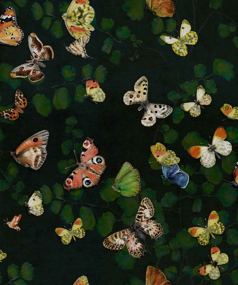 Coordonné Naturae Magic butterflies behang 9500050 - LAB COLOUR THE WORLD