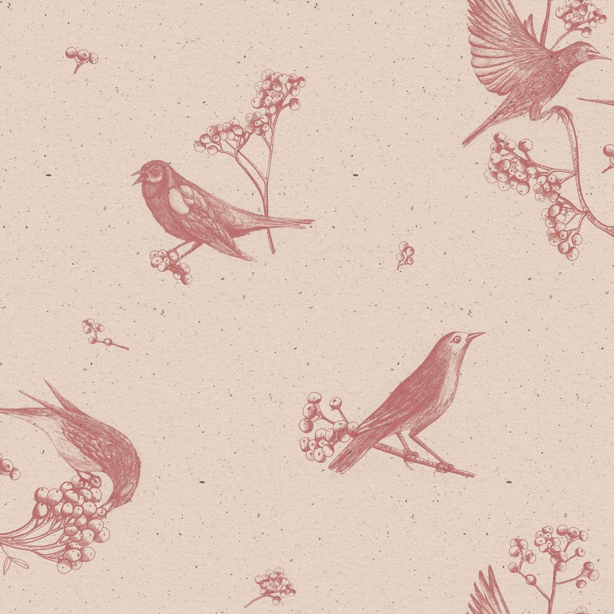 Coordonné Naturae Sweet Birds behang 9500071 - LAB COLOUR THE WORLD