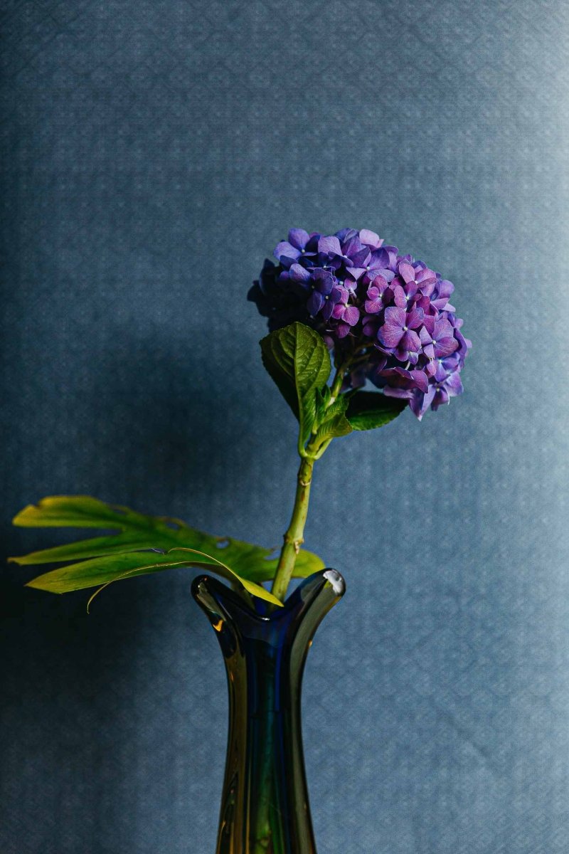 Coordonné Olivar Sisal Bahía behang A00519 - LAB COLOUR THE WORLD