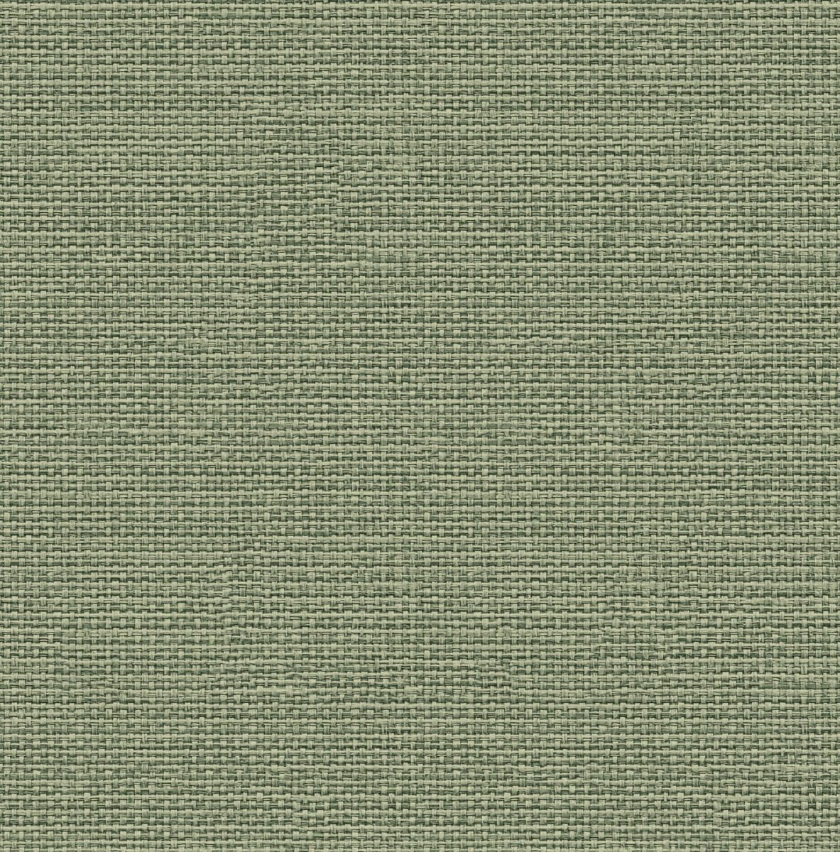Coordonné Raffias+ Raffias behang 9800063 - LAB COLOUR THE WORLD