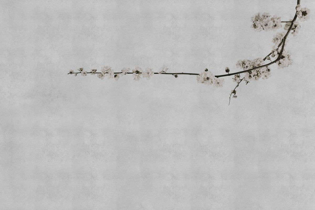 Coordonné Random Papers Blossom branch behang 6500307 - LAB COLOUR THE WORLD