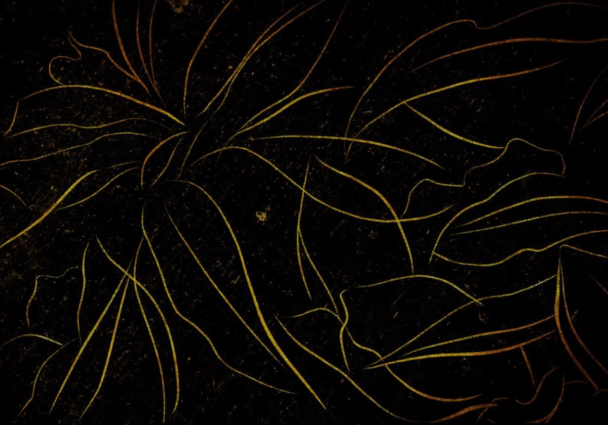 Coordonné Random Papers II Abstract Flora behang 6800409 - LAB COLOUR THE WORLD