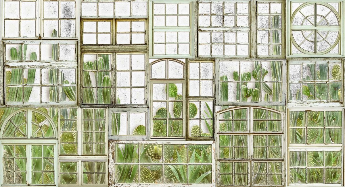 Coordonné Random Papers II Window Flora behang 6800404 - LAB COLOUR THE WORLD