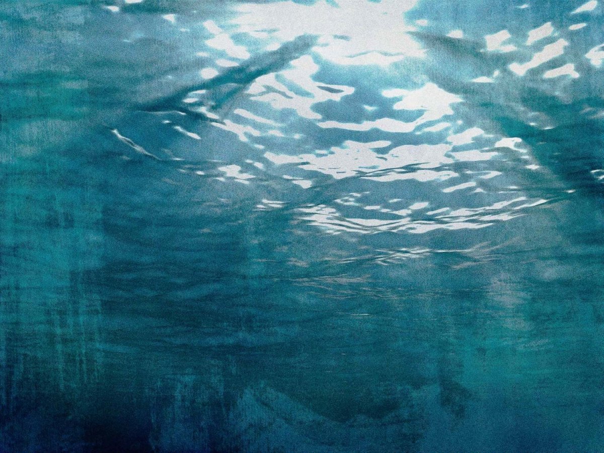 Coordonné Random Papers Underwater behang 6500205 - LAB COLOUR THE WORLD