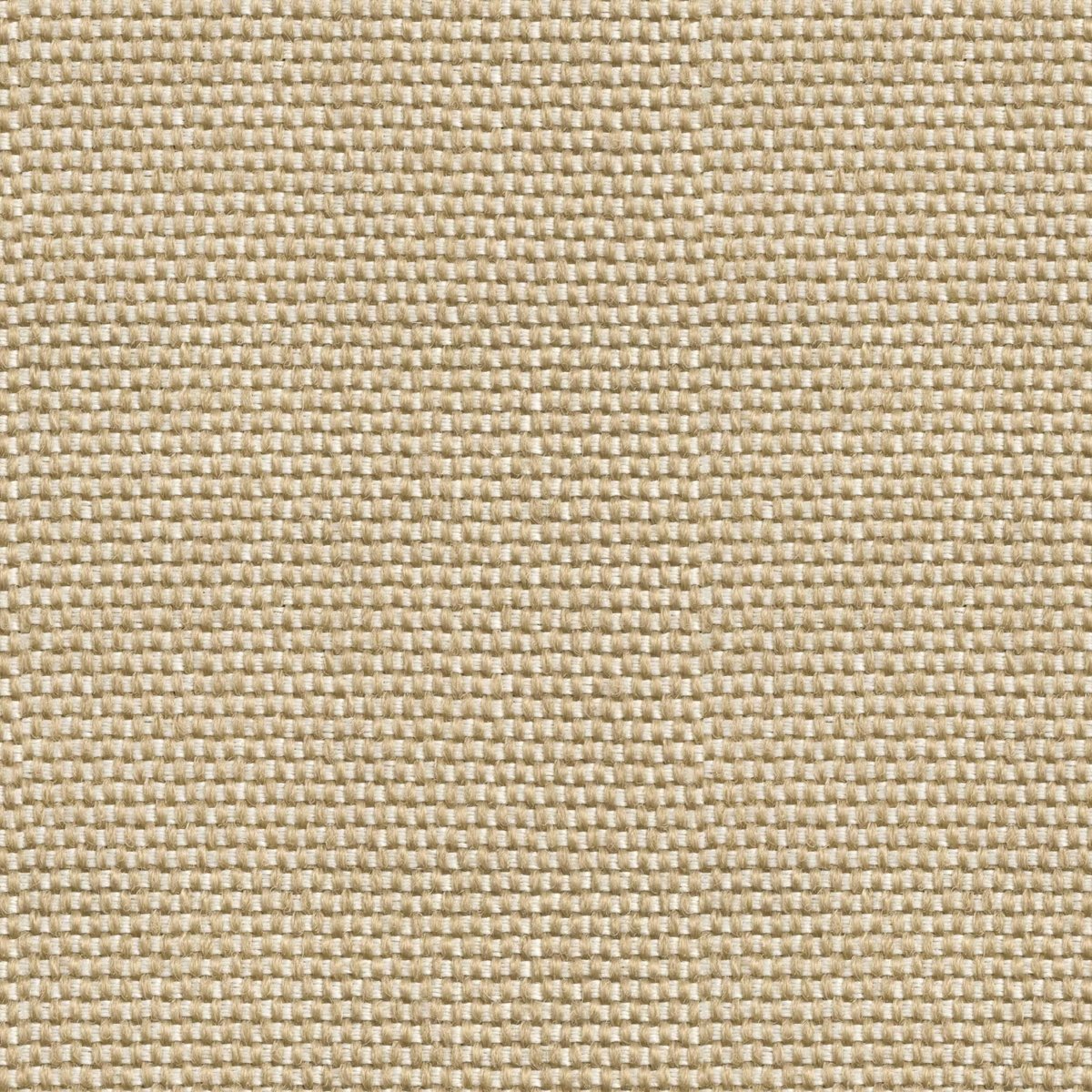 Coordonné Sarape Yuca behang C00037 - LAB COLOUR THE WORLD