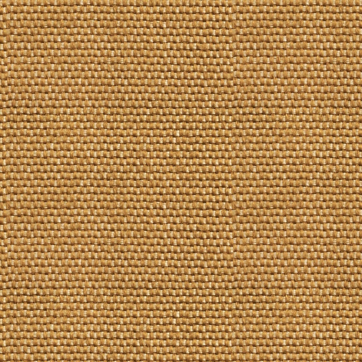 Coordonné Sarape Yuca behang C00039 - LAB COLOUR THE WORLD