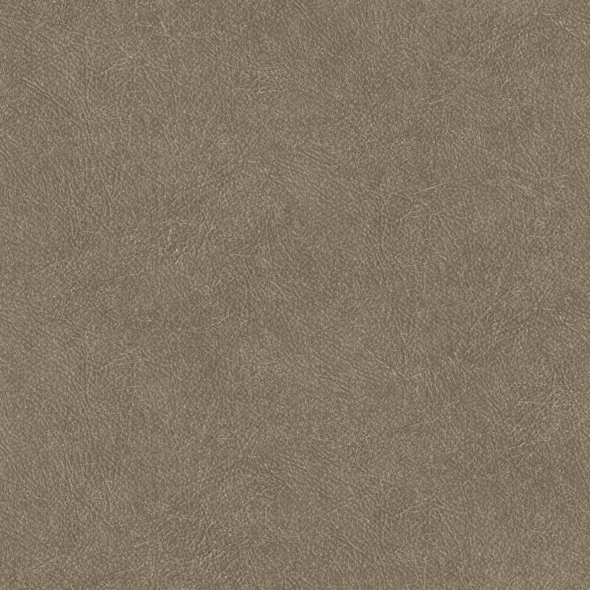 Coordonné Tactus Cuero behang B00768 - LAB COLOUR THE WORLD