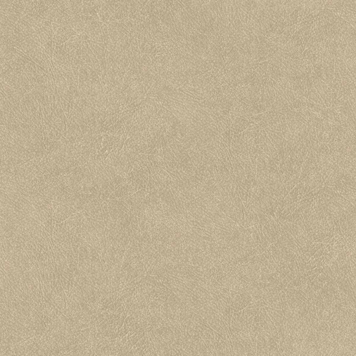 Coordonné Tactus Cuero behang B00769 - LAB COLOUR THE WORLD