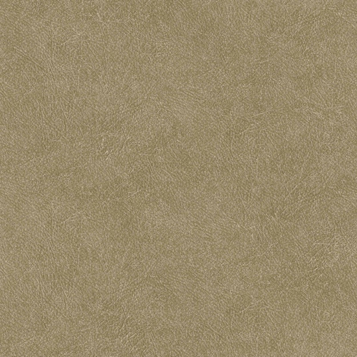 Coordonné Tactus Cuero behang B00770 - LAB COLOUR THE WORLD