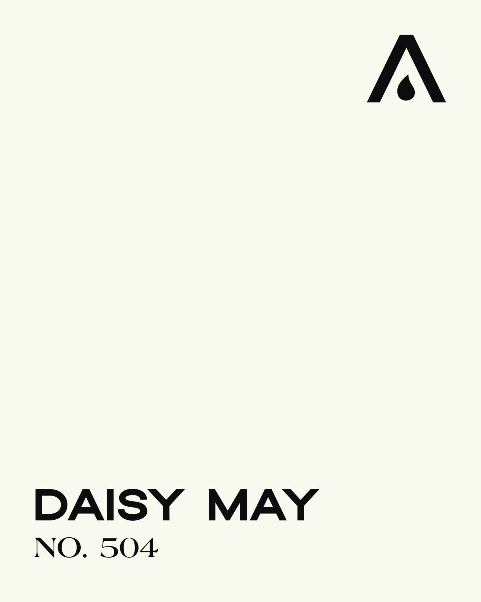 DAISY MAY NO. 504 - LAB COLOUR THE WORLD