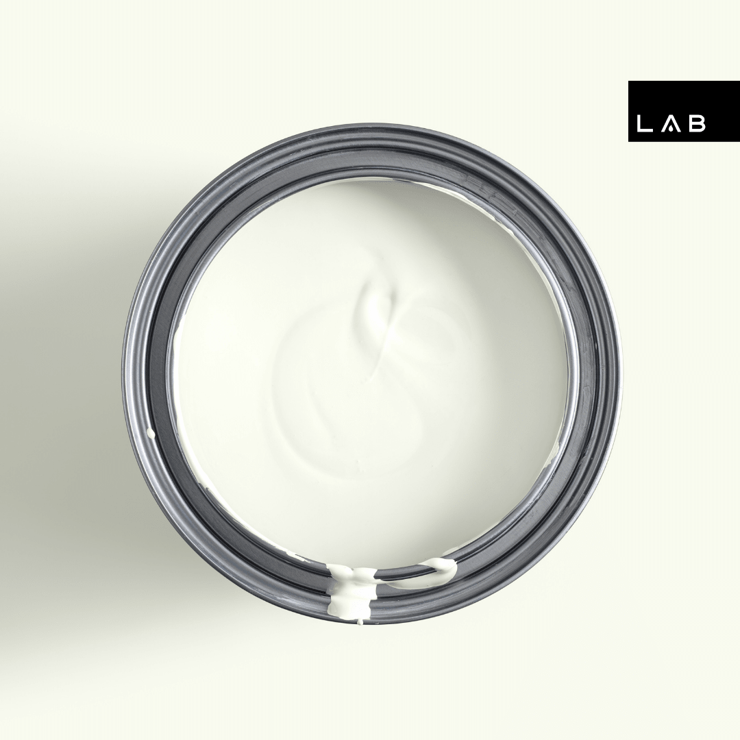 DAISY MAY NO. 504 - LAB COLOUR THE WORLD