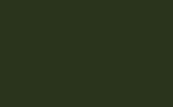 Dark Bronze Green - LAB COLOUR THE WORLD
