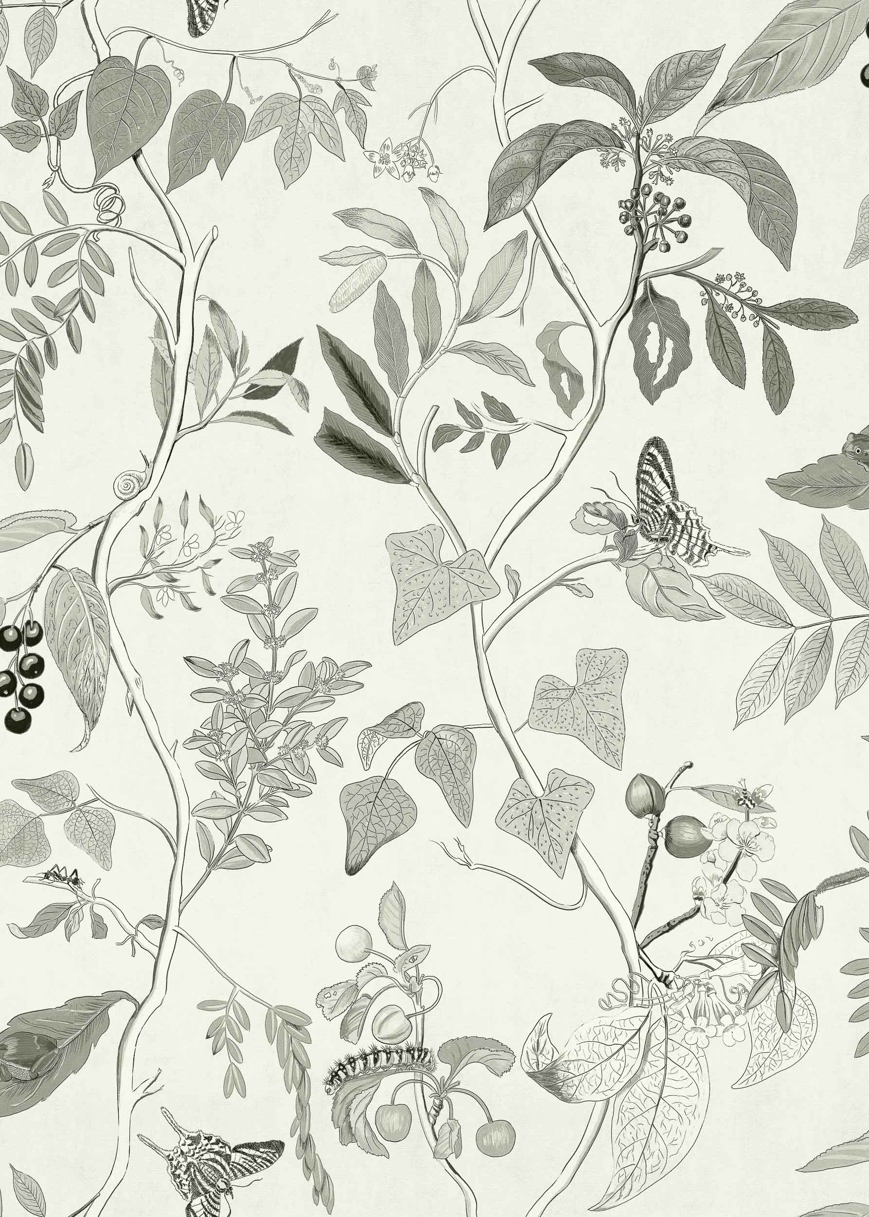Coordonné Maximalism Diderot behang 9300012 behang afbeelding 1