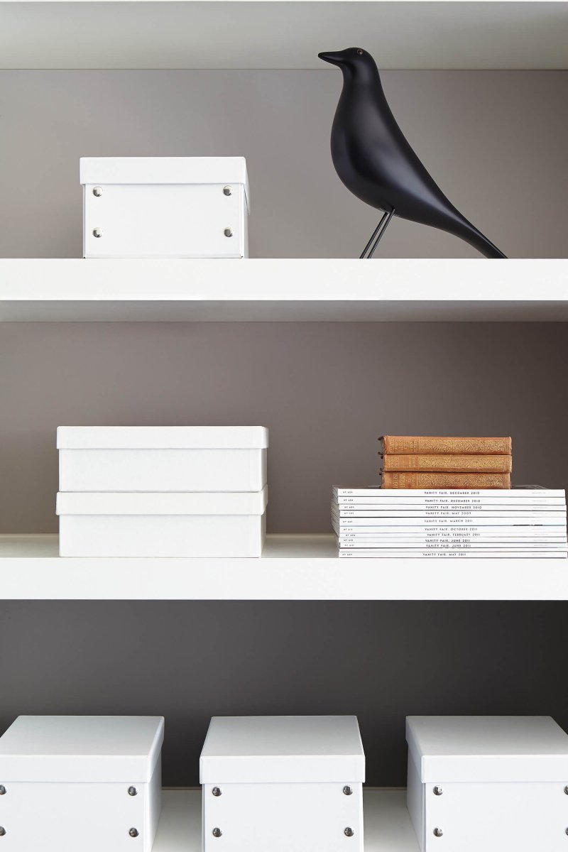 Down no. 242 - LAB COLOUR THE WORLD