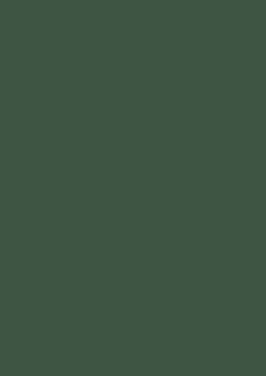 Duck Green no. W55 - LAB COLOUR THE WORLD