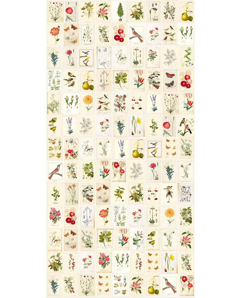 Eijffinger PIP STUDIO 3 behang 341086 - LAB COLOUR THE WORLD