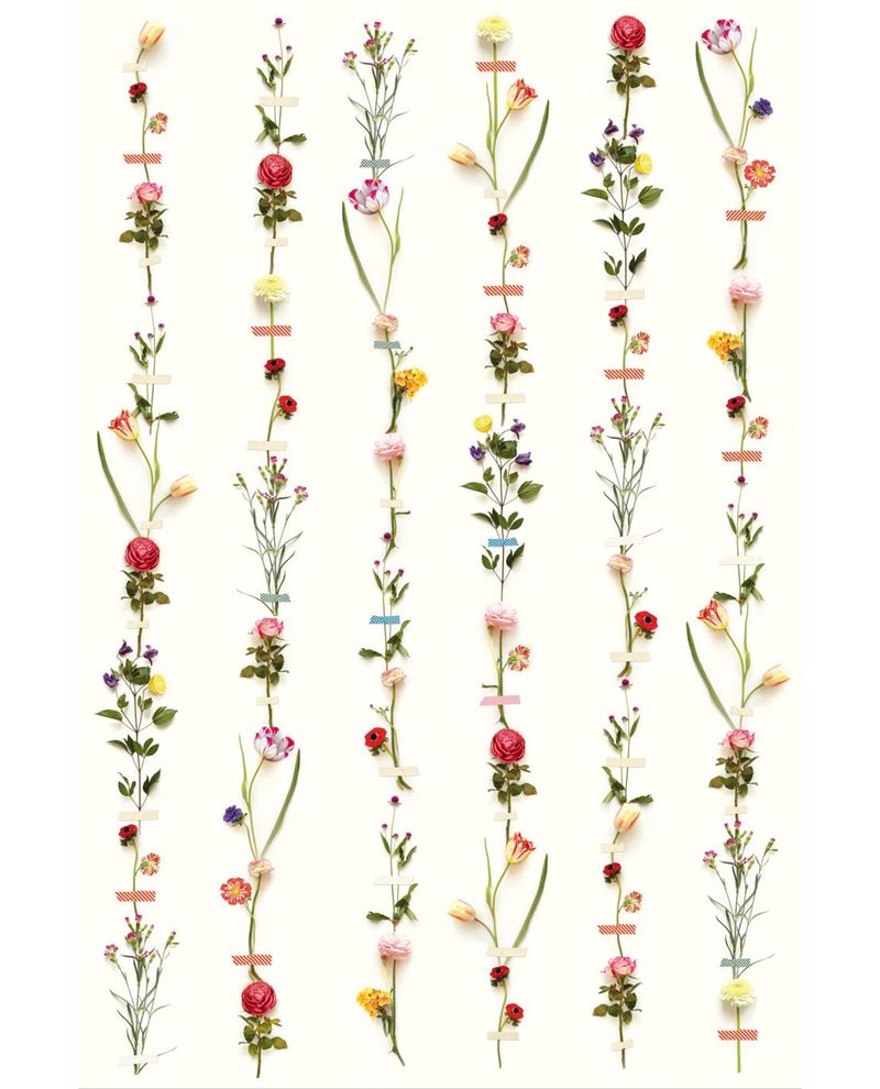 Eijffinger PIP STUDIO 3 behang 341087 - LAB COLOUR THE WORLD