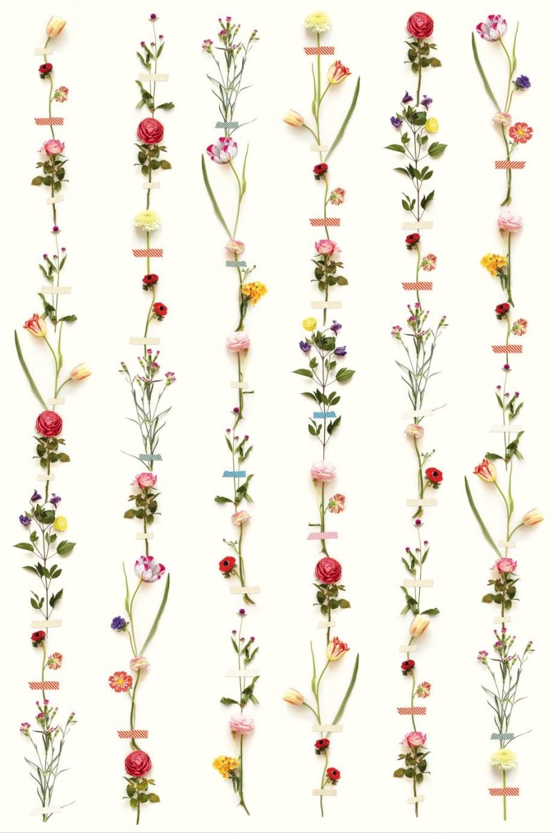 Eijffinger PIP STUDIO 3 behang 341087 - LAB COLOUR THE WORLD