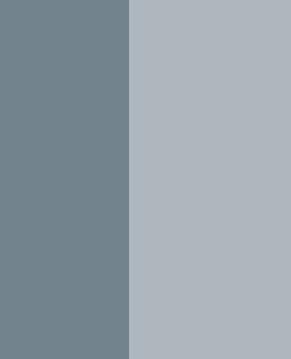 EIJFFINGER Stripes+ 377154 - LAB COLOUR THE WORLD