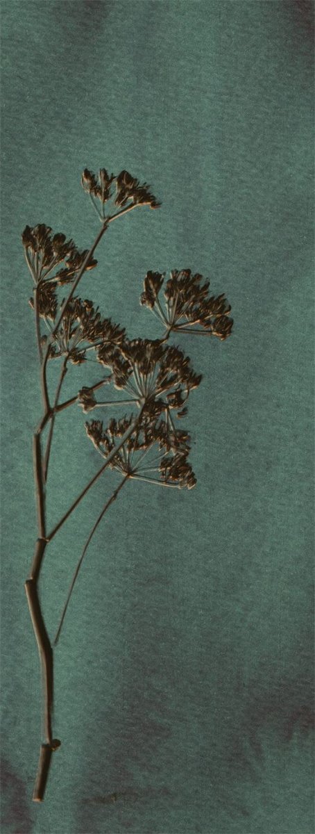 Eijffinger WALLPOWER FAVOURITES behang 309024 - LAB COLOUR THE WORLD