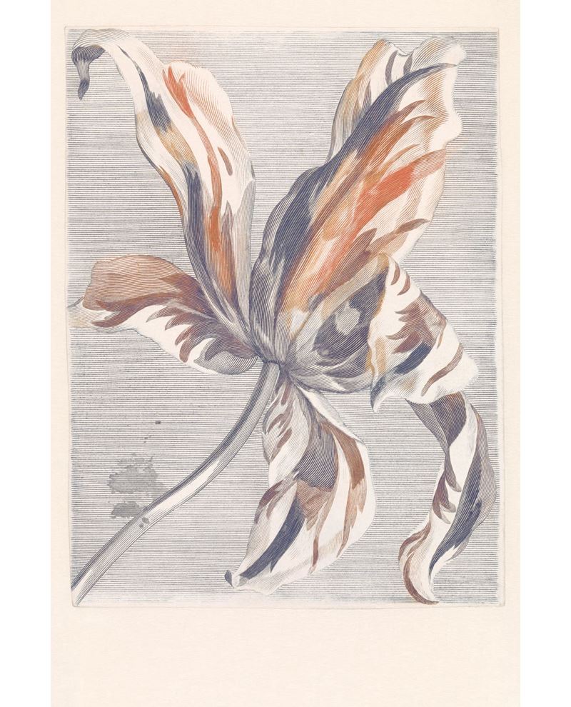 Eijffinger WALLPOWER FAVOURITES behang 309031 - LAB COLOUR THE WORLD