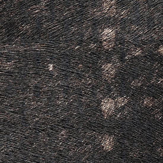 ÉLITIS Balmoral Behangpaneel VP 615 01 - LAB COLOUR THE WORLD