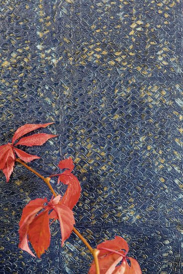 ÉLITIS Laca Salvaje Behang VP 916 12 - LAB COLOUR THE WORLD