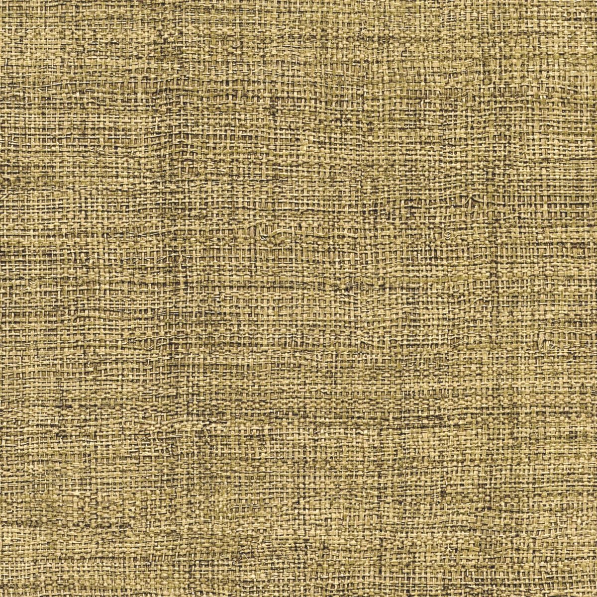 ÉLITIS Madagascar Arrowroot Raw Raffia Behang VP 731 40 - LAB COLOUR THE WORLD