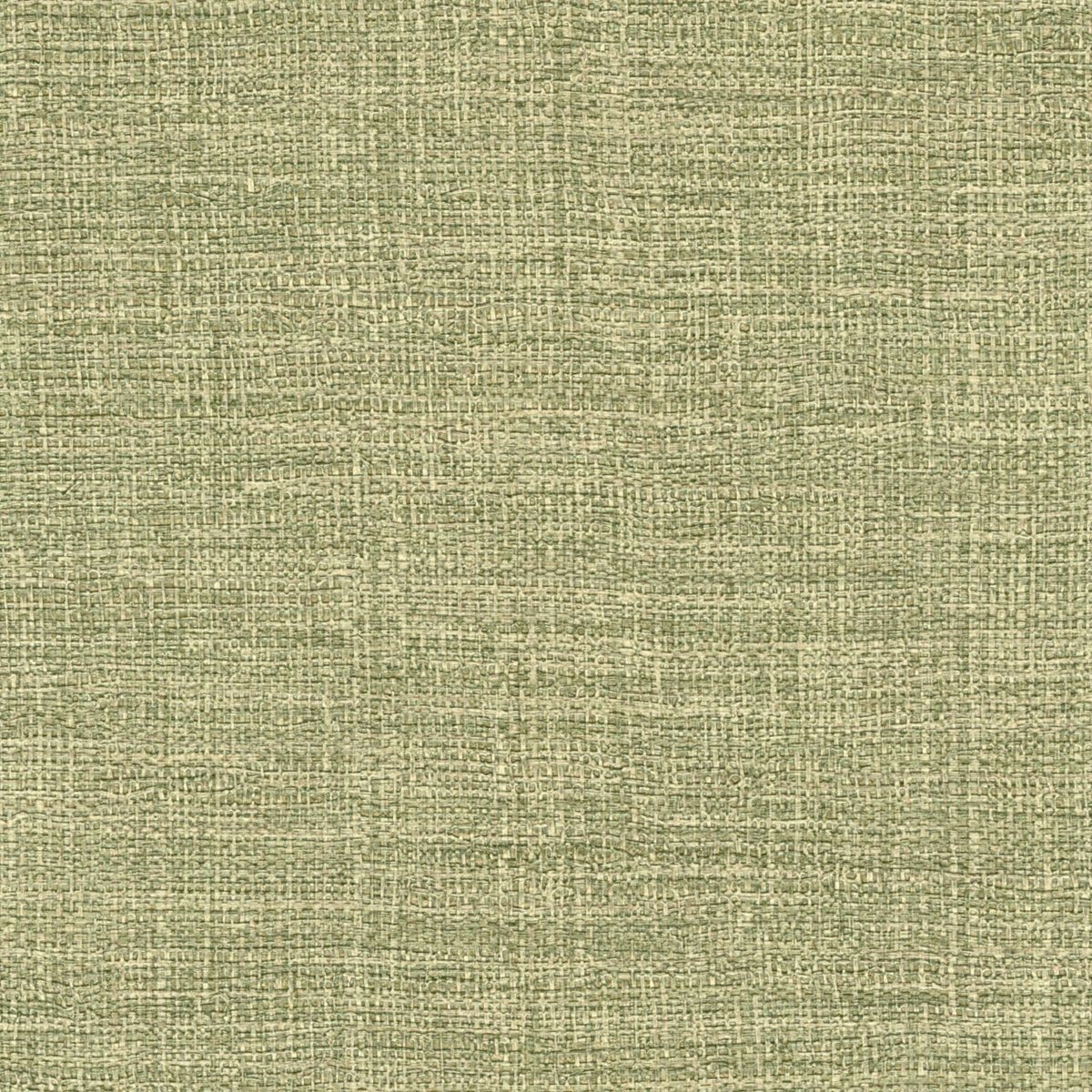 ÉLITIS Madagascar Arrowroot Raw Raffia Behang VP 731 61 - LAB COLOUR THE WORLD