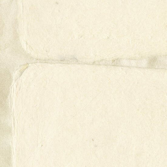 ÉLITIS Nishino Behang RM 1059 01 - LAB COLOUR THE WORLD