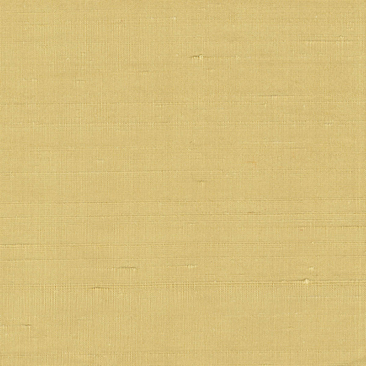 ÉLITIS Pamir Forever 2 Behang RM 1130 12 - LAB COLOUR THE WORLD