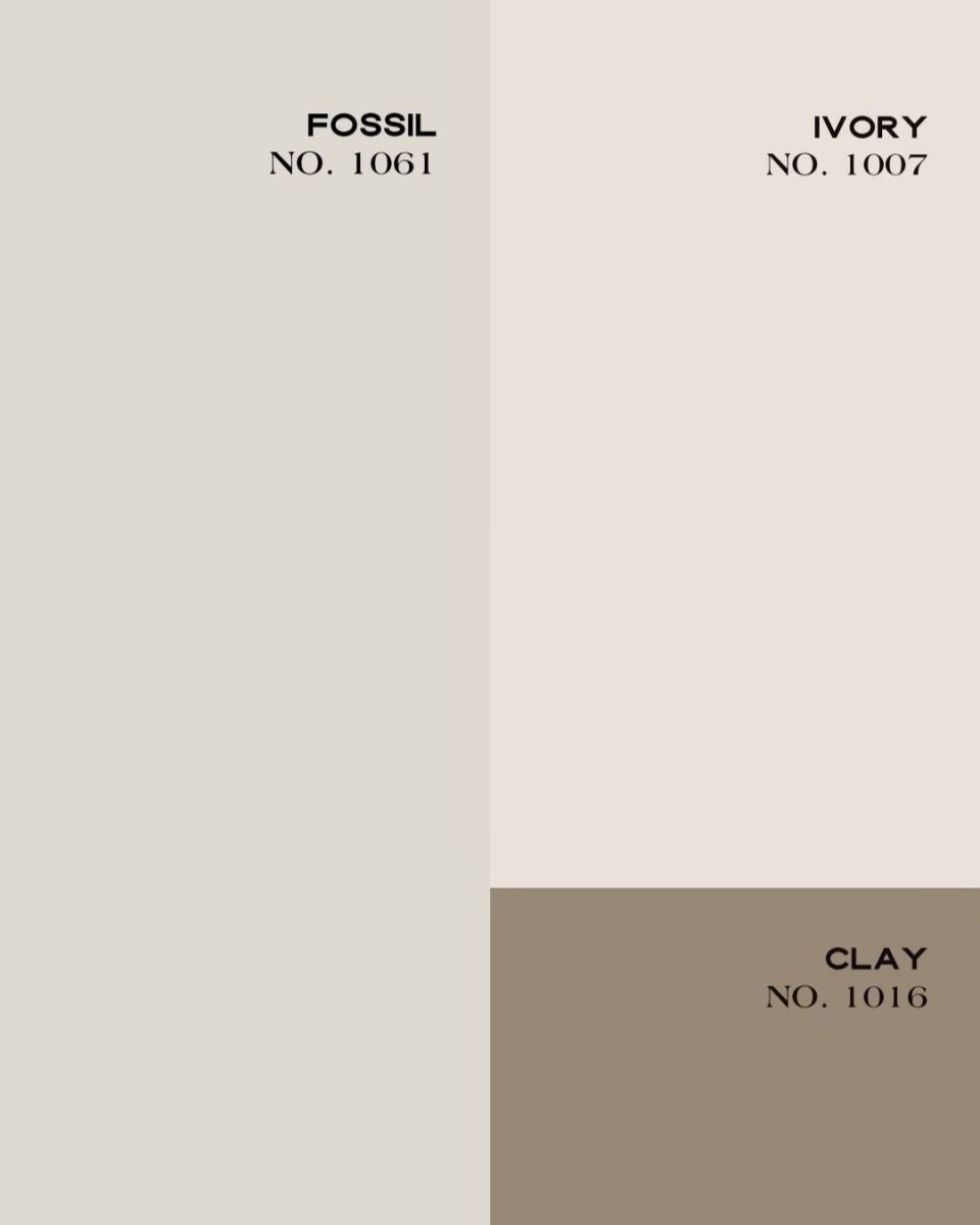 EMPERADOR FOSSIL NO. 1061 - LAB COLOUR THE WORLD
