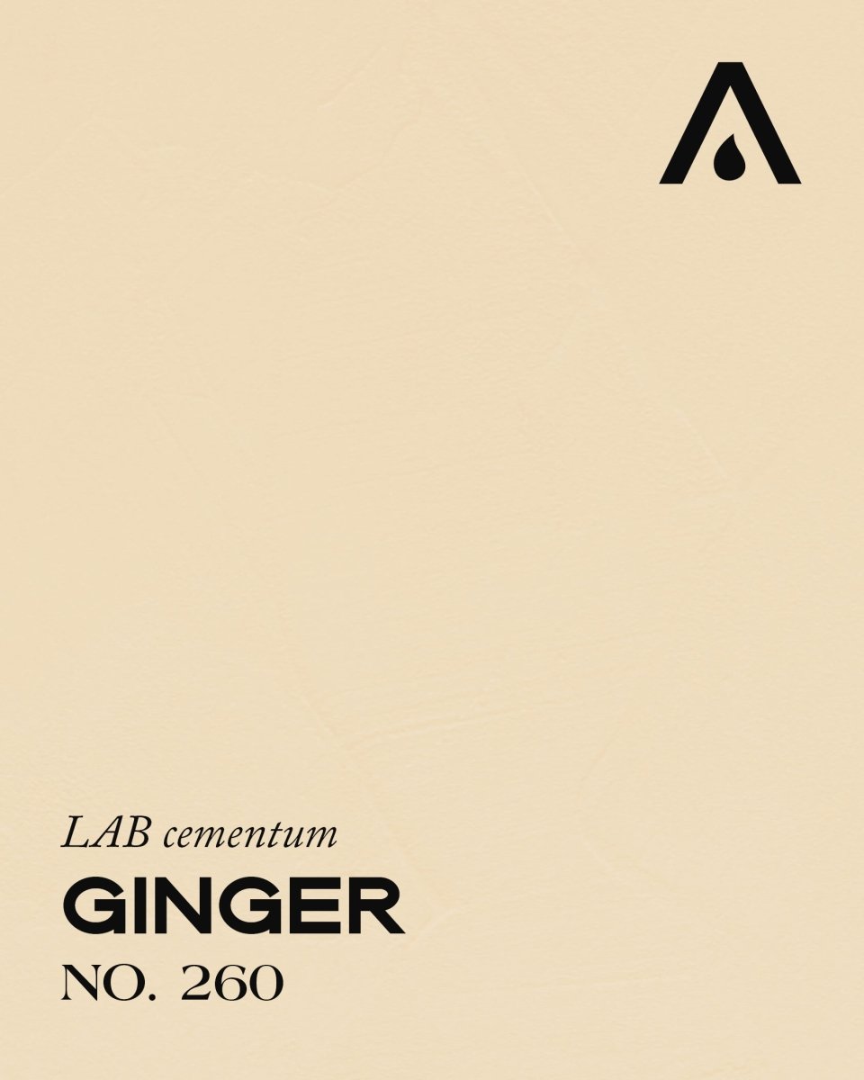 GINGER NO. 260 - LAB COLOUR THE WORLD
