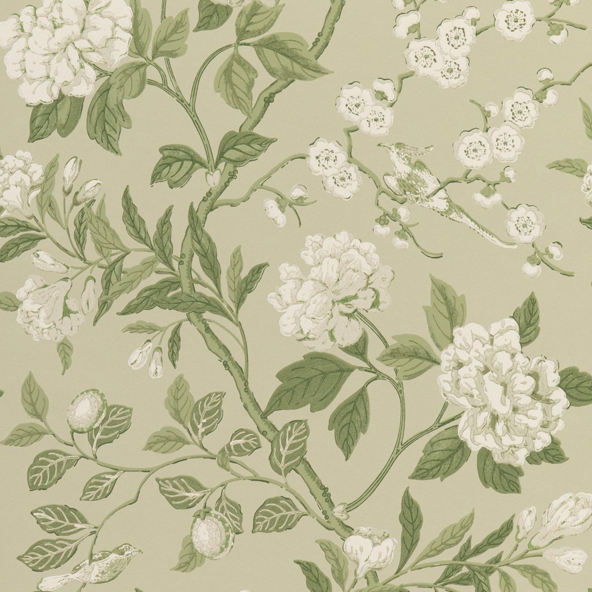 GP & J Baker Emperor's Garden Behang BW45000/10 - LAB COLOUR THE WORLD