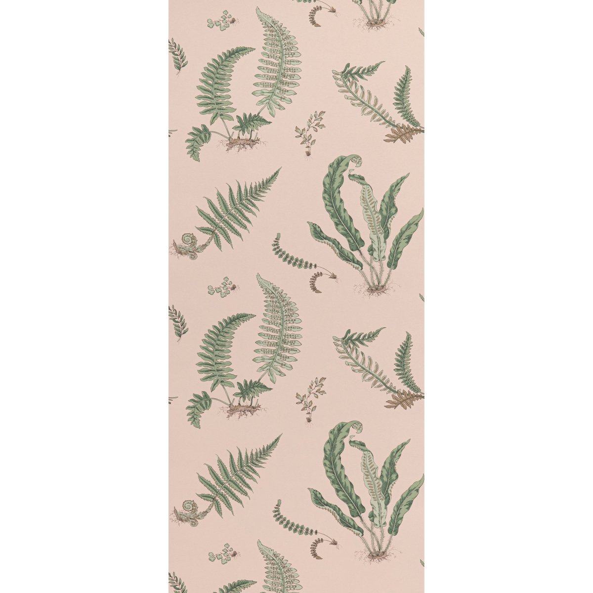GP & J Baker Ferns Behang BW45044/11 - LAB COLOUR THE WORLD